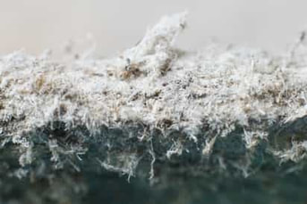 Microscopic view of asbestos