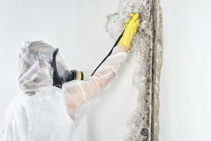 Expert Removing Mold and Asbestos